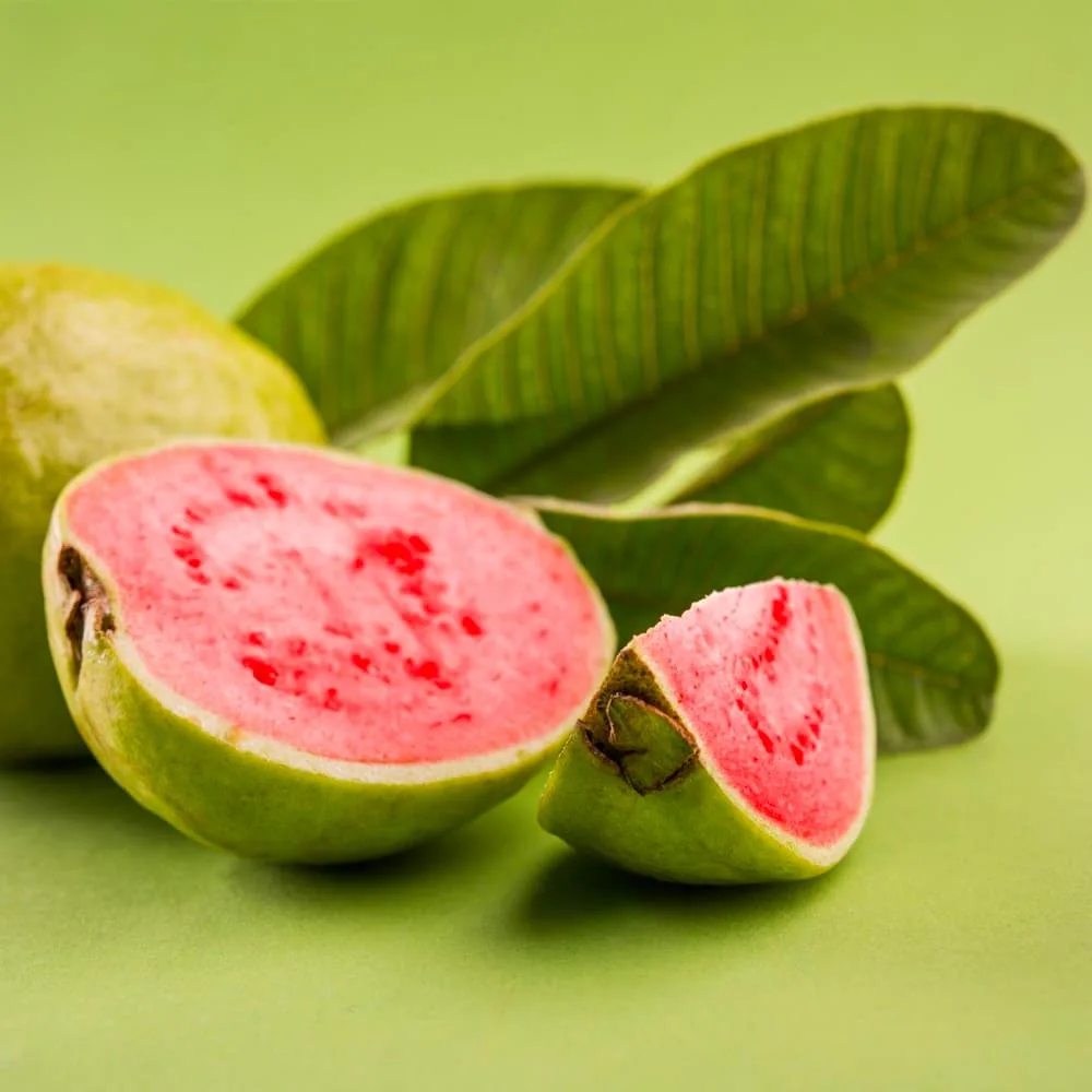 Guava Ruby Red Flesh From South Canada—1Kg - Ảnh 2